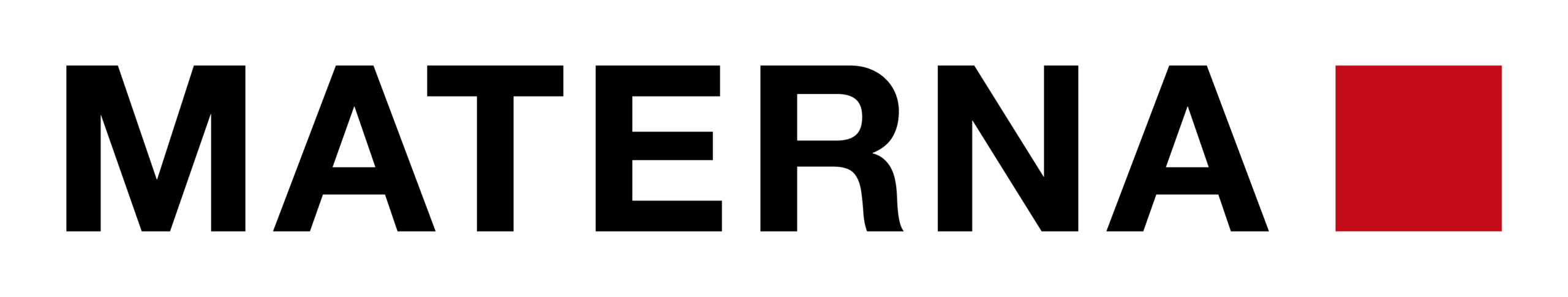 Schutz vor DDoS-Attacken MATERNA-Logo Referenz Success Story